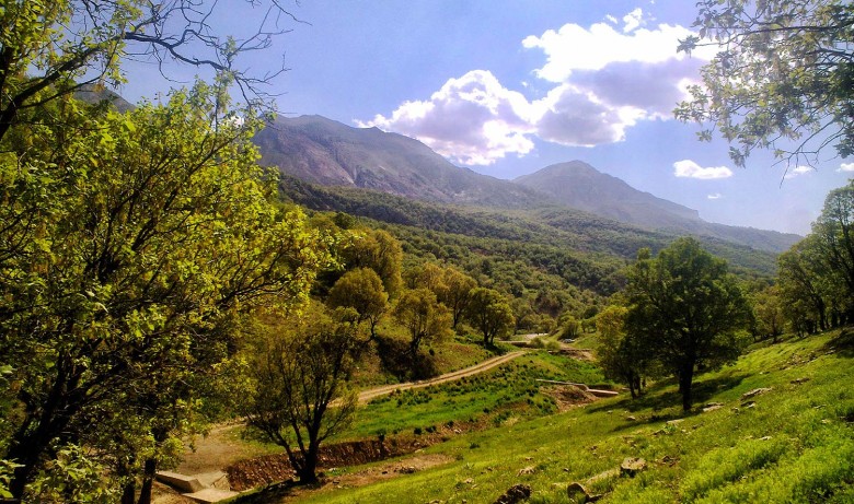 جنگل فندقلو اردبیل